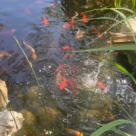 Lelle-kert 01 شقة *