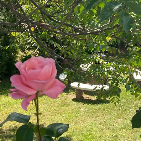 Lelle-kert 01 Appartement