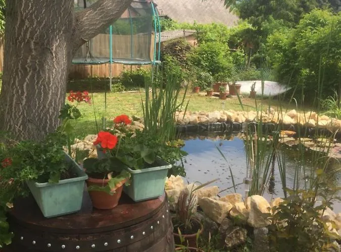 Lelle-kert 01 * بالاتوليلّي