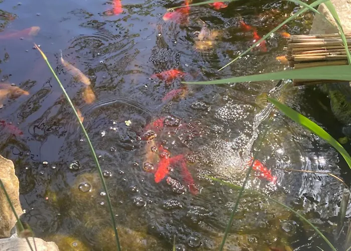 Lelle-kert 01 شقة *