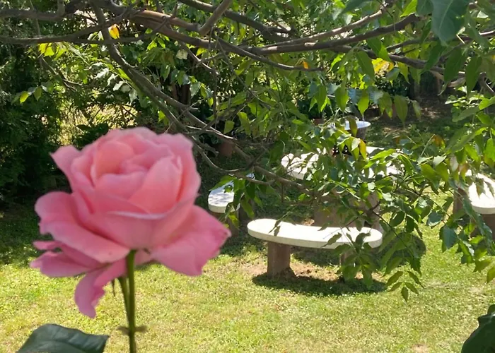 Lelle-kert 01 Apartamento